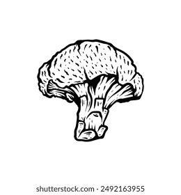 broccoli art style sketch classic vintage design illustration