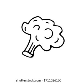 Broccoli or asparagus cabbage drawn in Doodle style, black outline, vector illustration for menu design, printing. Isolated on a white background. 