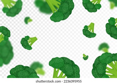Broccoli background. Flying fresh broccoli cabbage on transparent background. Flat design. Falling broccoli, isolated vegetables. Nature product. Vector illustration