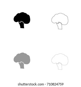 Broccoli black and grey set icon .