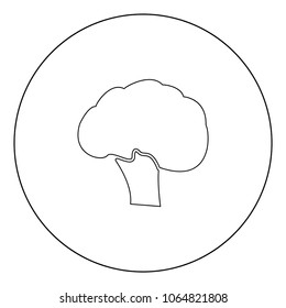 Broccoli black icon in circle vector illustration isolated flat style .
