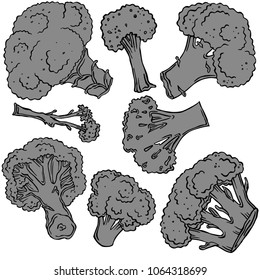 Broccoli black line with background, vector