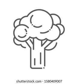 Broccoli black line icon. Natural vegetable sign. Healthy, organic food concept. Cooking ingredient. Pictogram for web, mobile app, promo. UI UX design element. Editable stroke.