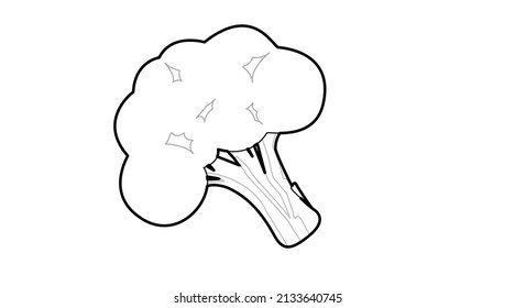 Broccoli Black and White Illustration. Vector isolated editable illustration of a broccoli