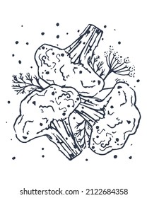 Brocoli con ramas y semillas de eneldo. Mano dibujada al estilo vintage. Ilustración vectorial plana. EPS10