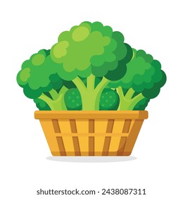 Broccoli in busket Green Leafy Vegetables vector illustration