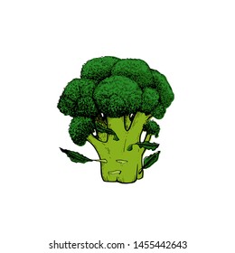 Broccoli Cabbage botanical hand drawn Isolated vector illustration. Organic vegetarian product. Broccoli symbol applicable for restaurant menu or packaging, label, poster, print. Engraving.