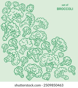 Conjunto de rabiscos de couve-brócolis. Ícone de contorno simples de brócolis ilustração vetorial. Vegetais de brócolis verde.