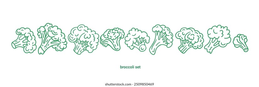 Conjunto de rabiscos de couve-brócolis. Ícone de contorno simples de brócolis ilustração vetorial. Vegetais de brócolis verde.