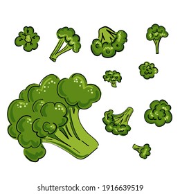 Broccoli cabbage green drawn set in hand drawn style on background. Cooking food. Graphic background. Isolated vector illustration.