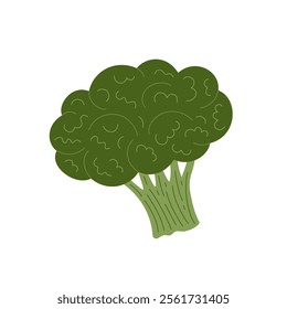 Broccoli cabbage green fresh raw vegetable simple hand drawn flat style vector illustration, healthy life style organic diet, food concept, design element clipart