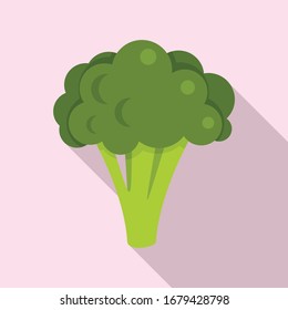 Broccoli cabbage icon. Flat illustration of broccoli cabbage vector icon for web design