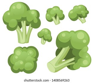 Broccoli cabbage icon set. Flat icon collection of vegetable broccoli. Fresh green Vegetable, Vegetarian, vegan Healthy organic food. Different sizes of broccoli. Flat vector illustration.