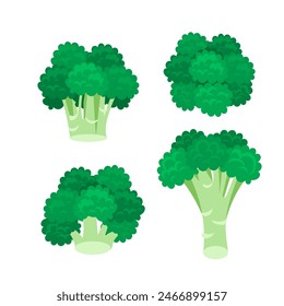 Broccoli cabbage icon set on white background. Stalk as Healthy