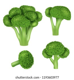 Broccoli cabbage icon set. Realistic set of broccoli cabbage vector icons for web design isolated on white background