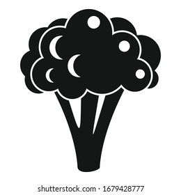 Broccoli cabbage icon. Simple illustration of broccoli cabbage vector icon for web design isolated on white background