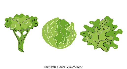 Broccoli cabbage lettuce isolated set. Vector flat graphic design illustration
