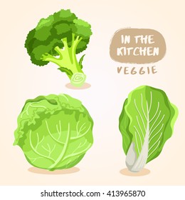 Broccoli, Cabbage and Lettuce : Vegetable Isolated Set : Vector Illustration