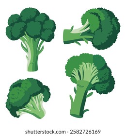 Broccoli Cabbage on Stalk Healthy Nutrition Set