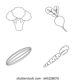 Broccoli cabbage, radish, cucumber, carrots with tops. Vegetables set collection icons in outline style vector symbol stock illustration web.