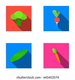 Broccoli cabbage, radish, green cucumber, carrots with tops. Vegetables set collection icons in flat style vector symbol stock illustration web.