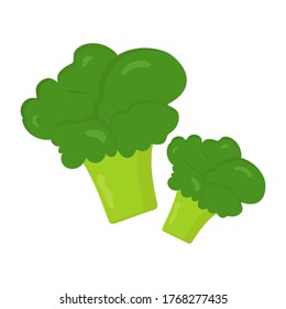 Broccoli cabbage is a vegetable. Healthy food. Vector illustration. In the style of hand drawing.