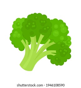 Broccoli cartoon flat icon. Vector illustration of healthy food, green vegetable.