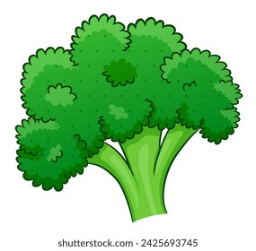 broccoli cartoon on white background