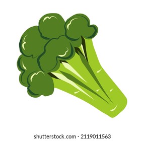 Broccoli in cartoon style. Green cabbage brocolli. Useful vegetable, design element. Vector illustration isolated on white background. Icon, food symbol. Hand drawn brocoli, watercolor paint