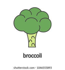 Broccoli cartoon. Vector illustration.