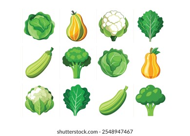 Broccoli, Cauliflower, Cabbage, Kale, Zucchini, Squash vegetables vector art icon.