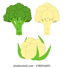 Broccoli and cauliflower isolated on white - set of ripe cabbage