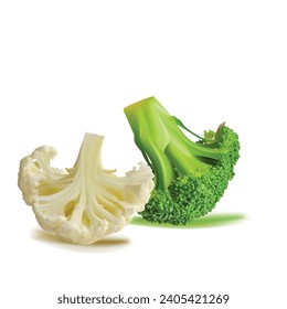 Broccoli and Cauliflower vector. Wonderful antioxidant. Beautiful Broccoli and Cauliflower. Cauliflower in mesh technique. Vector illustration.