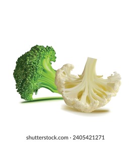 Broccoli and Cauliflower vector. Wonderful antioxidant. Beautiful Broccoli and Cauliflower. Cauliflower in mesh technique. Vector illustration.