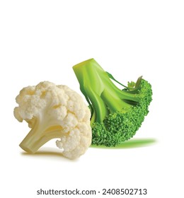 Broccoli and Cauliflower vector. Wonderful antioxidant. Beautiful Broccoli and Cauliflower. Cauliflower in mesh technique. Vector illustration.