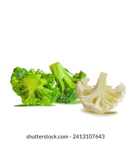 Broccoli and Cauliflower vector. Wonderful antioxidant. Beautiful Broccoli and Cauliflower. Cauliflower in mesh technique. Vector illustration.