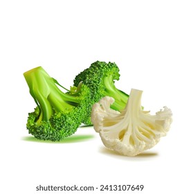 Broccoli and Cauliflower vector. Wonderful antioxidant. Beautiful Broccoli and Cauliflower. Cauliflower in mesh technique. Vector illustration.