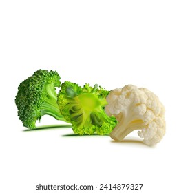 Broccoli and Cauliflower vector. Wonderful antioxidant. Beautiful Broccoli and Cauliflower. Cauliflower in mesh technique. Vector illustration.