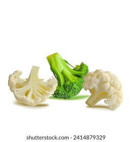 Broccoli and Cauliflower vector. Wonderful antioxidant. Beautiful Broccoli and Cauliflower. Cauliflower in mesh technique. Vector illustration.