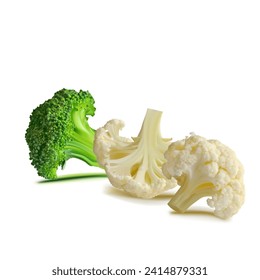 Broccoli and Cauliflower vector. Wonderful antioxidant. Beautiful Broccoli and Cauliflower. Cauliflower in mesh technique. Vector illustration.