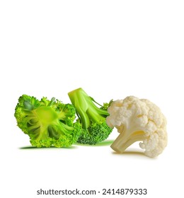 Broccoli and Cauliflower vector. Wonderful antioxidant. Beautiful Broccoli and Cauliflower. Cauliflower in mesh technique. Vector illustration.