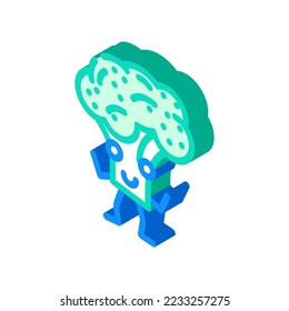 broccoli character isometric icon vector. broccoli character sign. isolated symbol illustration