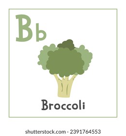 Clíparte de brócoli. Dibujo vectorial de brócoli estilo plano. Las verduras empiezan con la letra B. Tarjeta de alfabeto vegetal. Tarjeta B de la carta de aprendizaje. Educación infantil. Diseño vectorial de brócoli