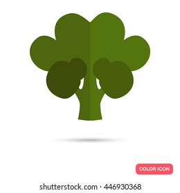 Broccoli color flat icon