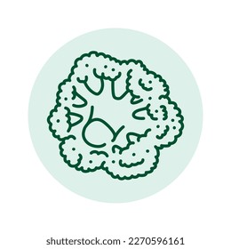 Broccoli color line icon. Healthy food. Vegetarian product
