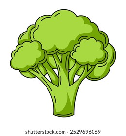 Brócoli, colorido icono lineal. Signo de contorno de Vector vegetal de la granja, ilustración en color. Nutrición saludable, alimentos orgánicos. Símbolo de las verduras para la etiqueta engomada, logotipo, impresión