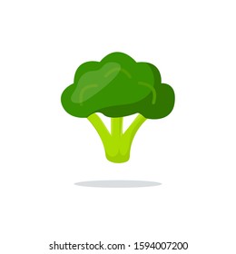 Broccoli colorful realistic icon. Broccoli vegetables symbol on white background. 