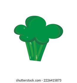Broccoli colorful realistic icon. Broccoli vegetables symbol on white background.