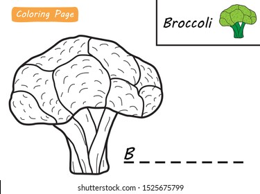 Broccoli Coloring Page for Children Study with Example