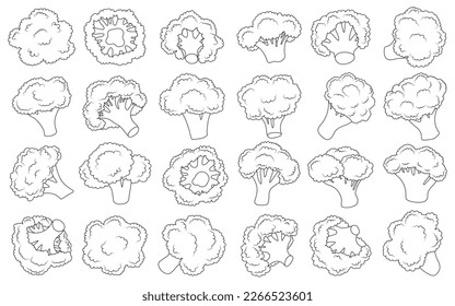 Broccoli crumbs vector outline set icon. Vector illustration brocolli cabbage on white background. Isolated outline set icon broccoli.